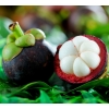 Mangostino exótico Mangostino Rey de las frutas